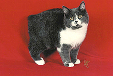 11_Nufurs Noon Ovr myjamys of Karleton